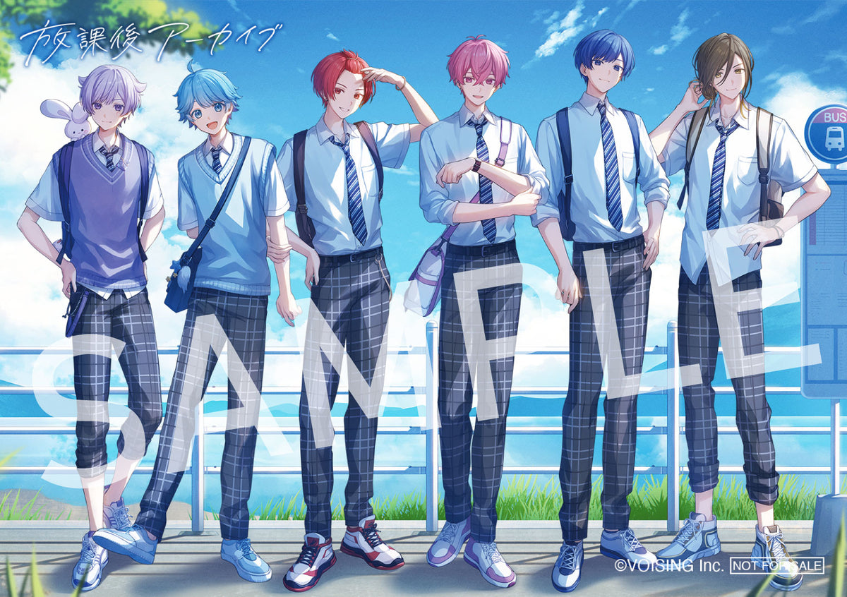 いれいす 放課後アーカイブ アルバム 特典 通常盤トレーディングカードブロマイド 特典付】 いれいす 放課後アーカイブ 【 通常盤C 初回プレス