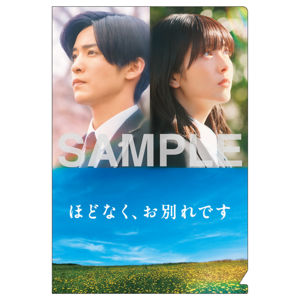 特典付】 映画『ほどなく、お別れです』 【 DVD 豪華版 】(3DVD)【特典