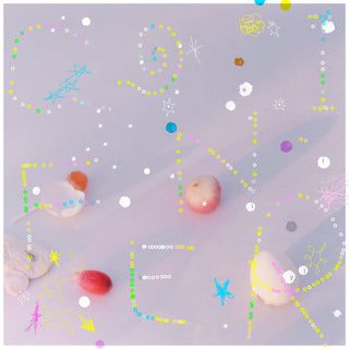 【特典付】 リーガルリリー コニファー 【 初回生産限定盤 】(CD+Blu-ray)【特典:オリジナルアニメJKステッカー】