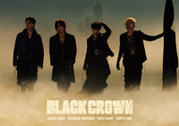 【特典付】 OWV BLACK CROWN 【 通常盤 初回プレス 】(CD)【特典:B2ポスター(丸めて同梱)】