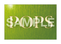 【特典付】 Mrs. GREEN APPLE POPS 【 通常盤 】(CD)【特典:ポストカード】(チケット先行応募用“Harmony CODE” 封入)