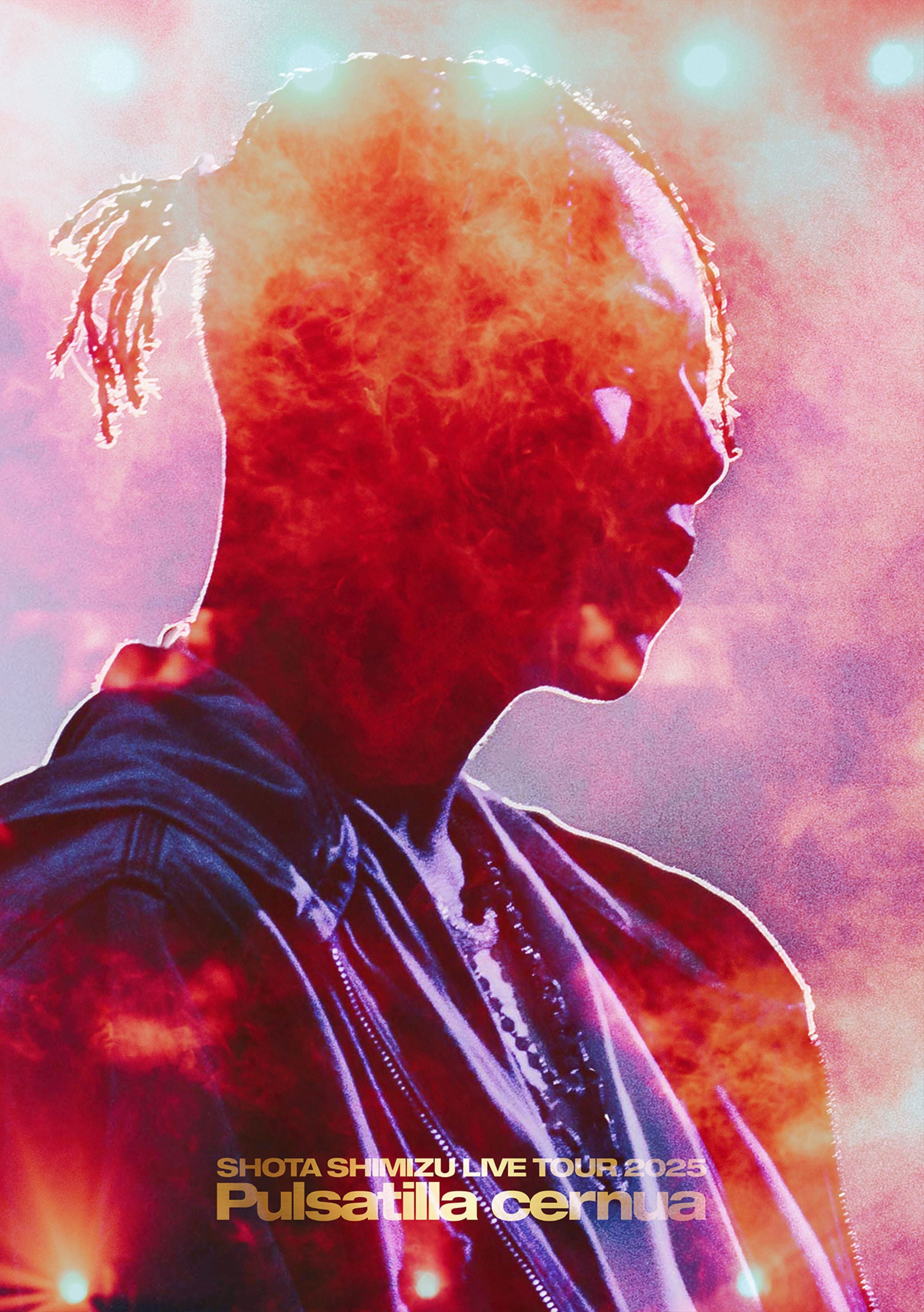 清水翔太/Pulsatilla cernua/【完全生産限定ファンクラブ限定盤】 清水翔太/Pulsatilla cernua/【完全生産限定ファンクラブ限定盤