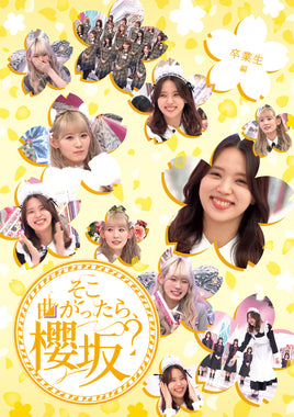 【特典付】 櫻坂46 そこ曲がったら、櫻坂? 卒業生編 【 初回仕様限定盤 】(Blu-ray)【特典:内容未定】(応募特典シリアルナンバー封入)