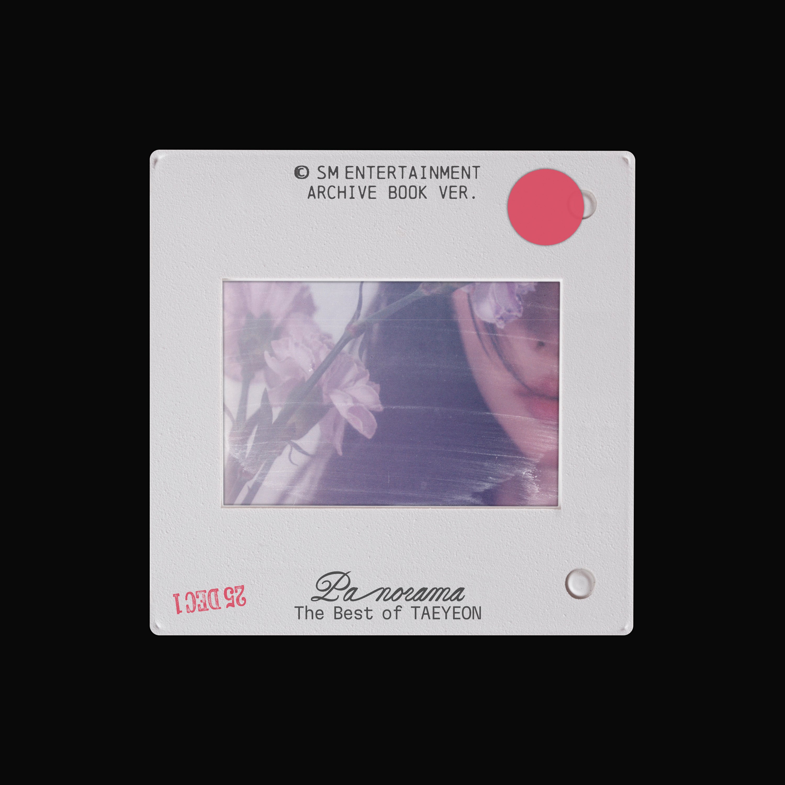 ARCHIVE BOOK Ver. 【早期購入特典あり】 少女時代 テヨン Panorama